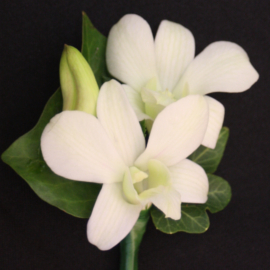 grooms buttonholes